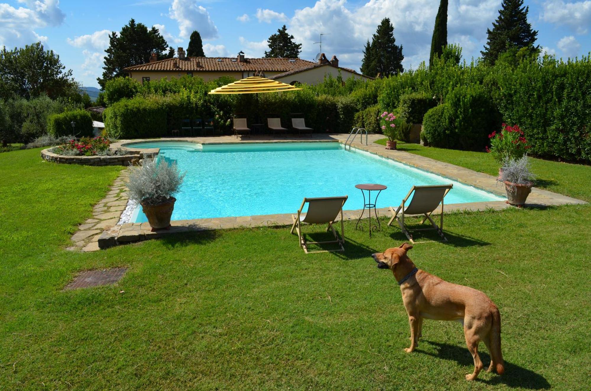 Dante Country House - Casa Con Piscina Privata E Jacuzzi Tra Firenze E Chianti Scandicci Eksteriør billede